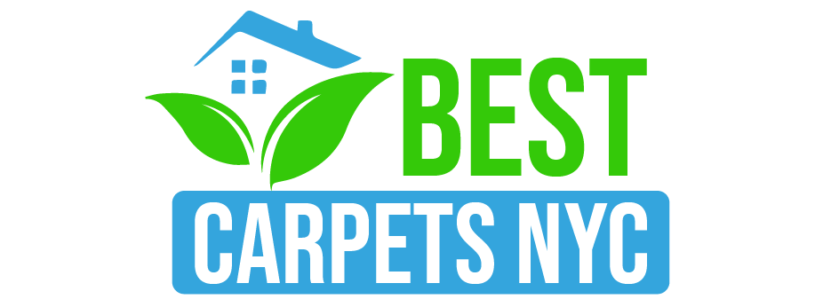 Bronx Drapery Cleaning